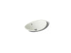 KOHLER K-5403-P5 Iron Plains 20-3/4" oval vessel bathroom sink, dune