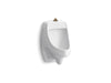 KOHLER K-5452-ET Dexter Washout wall-mount 0.125 gpf urinal with top spud, white