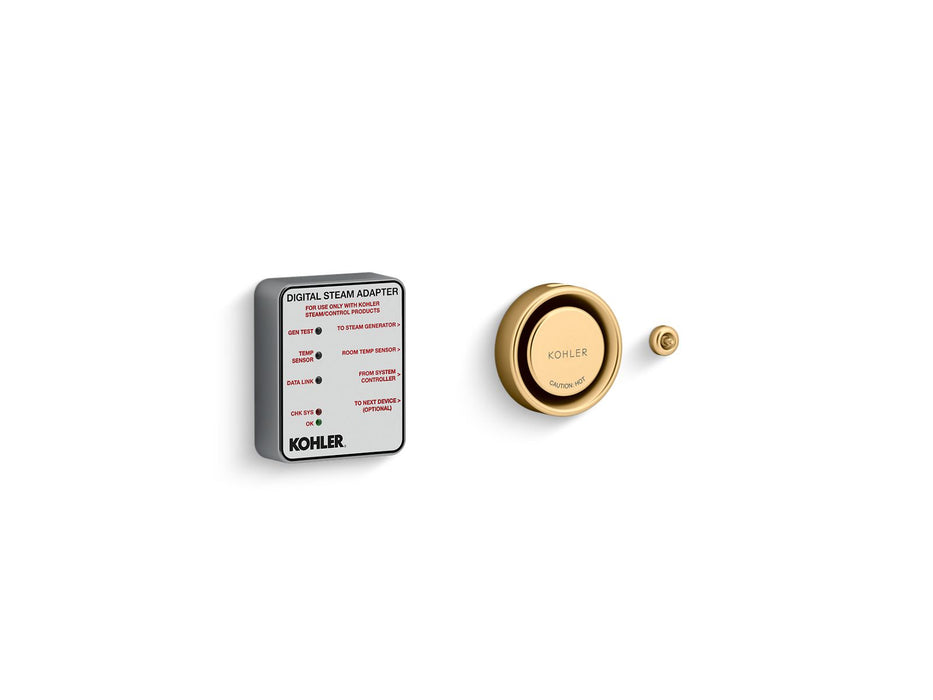 KOHLER K-5548-K1 Invigoration Series Digital steam adapter kit, vibrant brushed moderne brass
