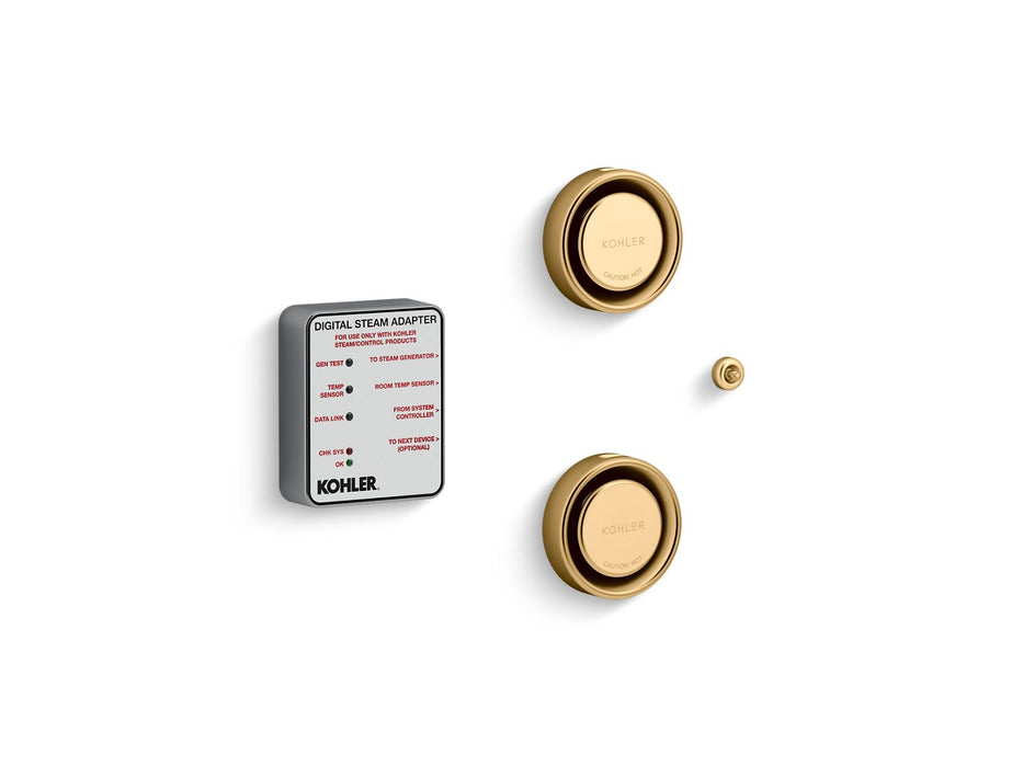 KOHLER K-5549-K1 Invigoration Series Tandem digital steam adapter kit, vibrant brushed moderne brass