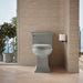 KOHLER K-6428 Memoirs Stately One-piece compact elongated toilet with skirted trapway, 1.28 gpf, ice grey - view 5