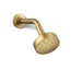 KOHLER K-72417 Awaken G90 Single-function showerhead, 1.75 gpm, vibrant brushed moderne brass - view 5