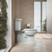 KOHLER K-75796-RL Cachet Nightlight ReadyLatch Quiet-Close elongated toilet seat, ice grey - view 3