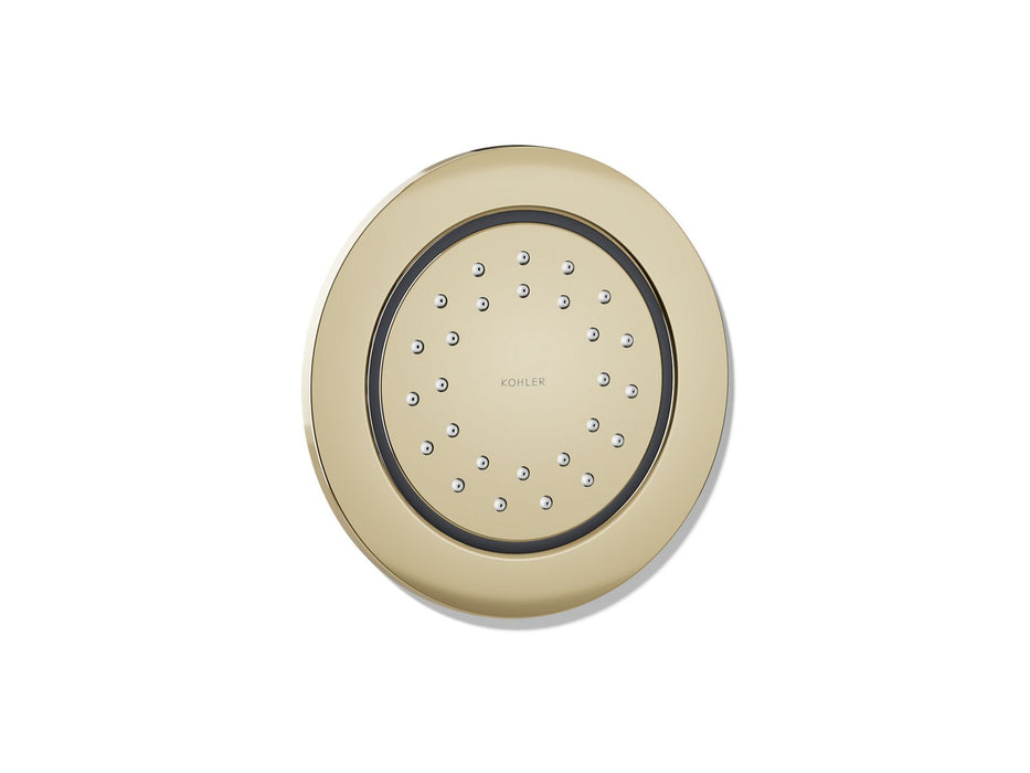 KOHLER K-8013 WaterTile Round 27-nozzle Single-function Body Spray, 2.0 GPM