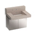KOHLER K-81024-BSS Constellation 30" wall-mount lavatory system with backsplash, canvas
