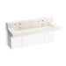 KOHLER K-81027-BPW Constellation 60" wall-mount trough lavatory system with backsplash, arrow root