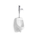 KOHLER K-PR5016-T2DS Dexter Antimicrobial urinal with Mach Tripoint touchless DC 0.5 gpf flushometer, not applicable