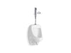 KOHLER K-PR5452-T1D Dexter High-efficiency urinal with Mach Tripoint touchless DC 0.125 gpf flushometer, not applicable