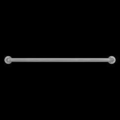 Moen LR7542 Stainless 42" exposed screw grab bar