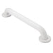 Moen LR8924W Glacier 24" concealed screw grab bar