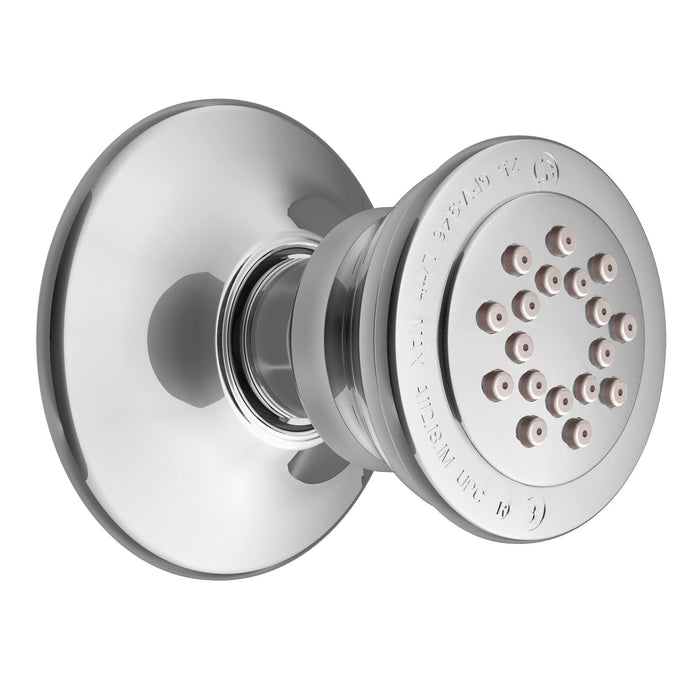 Moen A501 Body Spray