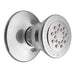 Moen A501 Body Spray