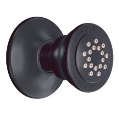 Moen A501 Body Spray