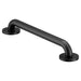 Moen R8716 16" Concealed Screw Grab Bar