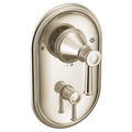 Polished Nickel