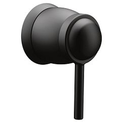 Moen Align T4292 Volume Control
