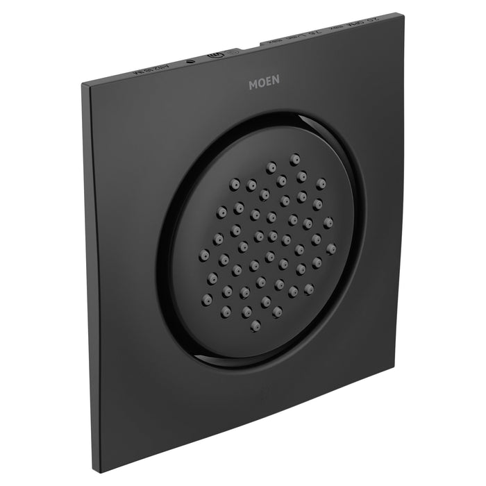 Moen Mosaic TS1320 Body Spray