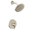 Brushed Nickel