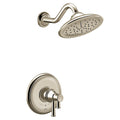 Polished Nickel
