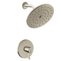 Brushed Nickel