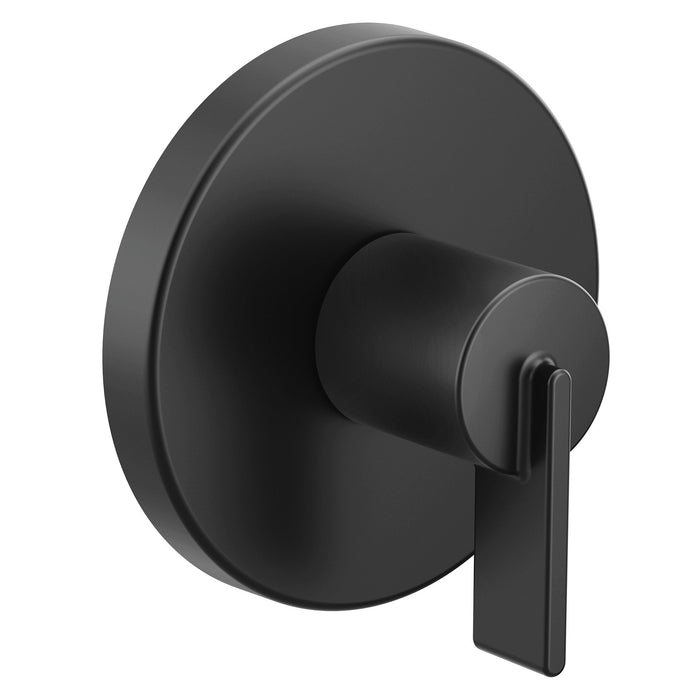 Moen Cia UT4620 M-CORE transfer vertical spa
