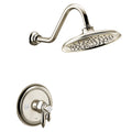 Polished Nickel