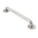 Moen R8916 16" Concealed Screw Grab Bar