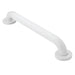 Moen R8724 24" Concealed Screw Grab Bar