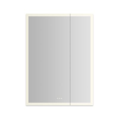 Robern AR3648D4FP2LP 36" x 48" x 4", Perimeter Lit, TUN Lighting, Warm White (2700K) to Cool White (5600K), Dimmable, Interio