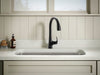 Sterling Medley Pull-down single-handle kitchen faucet - Matte Black