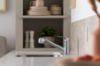 Sterling Valton Pull-out single-handle kitchen faucet - Polished Chrome