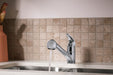 Sterling Valton Pull-out single-handle kitchen faucet - Polished Chrome