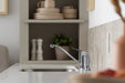 Sterling Valton Single-handle kitchen sink faucet with sidespray - Polished Chrome