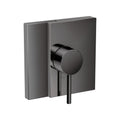Polished Black Chrome