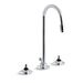 KOHLER 7435-KN-CP Triton 0.5 Gpm Widespread Commercial Bathroom Sink Base Faucet With Gooseneck Spout And Pop-Up Drain, Requires Handles in Polished Chrome