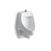 KOHLER K-5016-ETSS Dexter Siphon-jet wall-mount 0.5 or 1.0 gpf urinal with top spud, antimicrobial