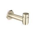 Polished Nickel