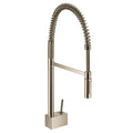 Polished Nickel